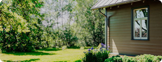 Investments News 40 How to identify bird eggs in your garden
